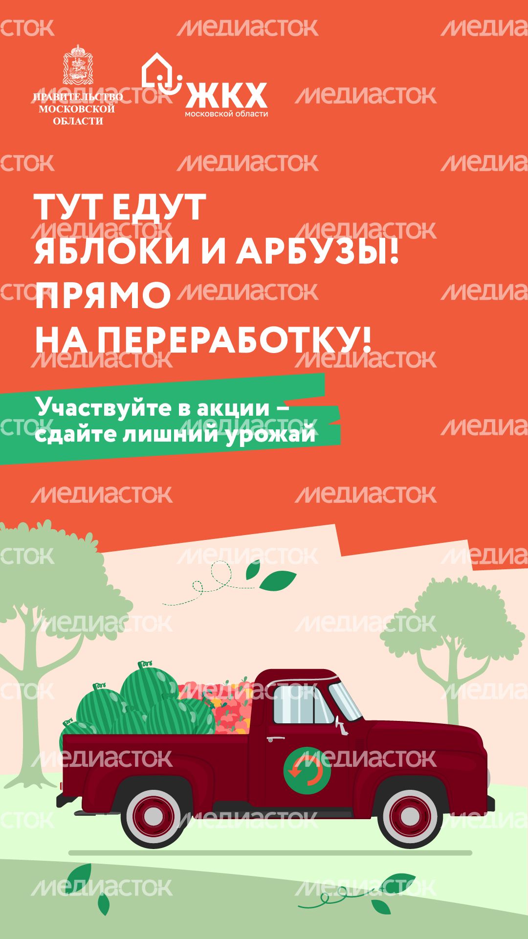 Вертикаль_арбузы_01-100.jpg