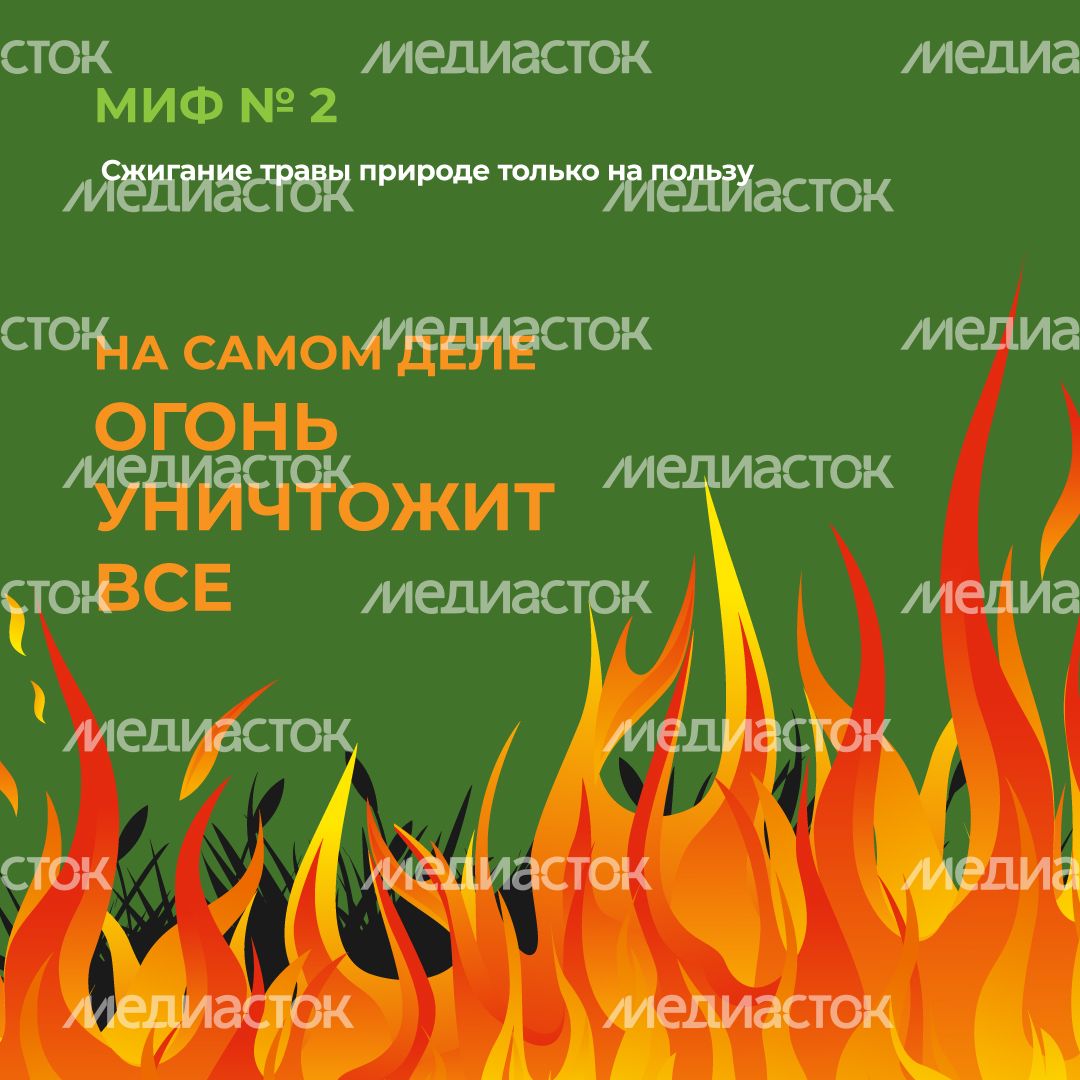комлесхоз_пал_кв_3.jpg