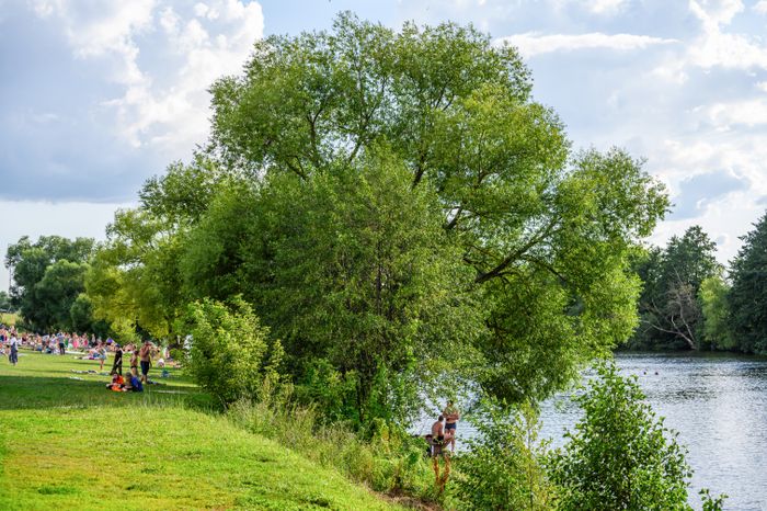 Городской пляж Зарайска