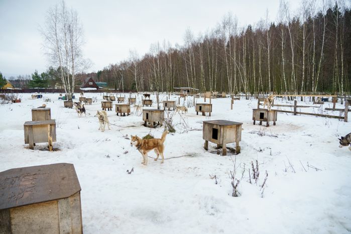 Чукотское стойбище "Хаски парк" в Раменском округе зимой