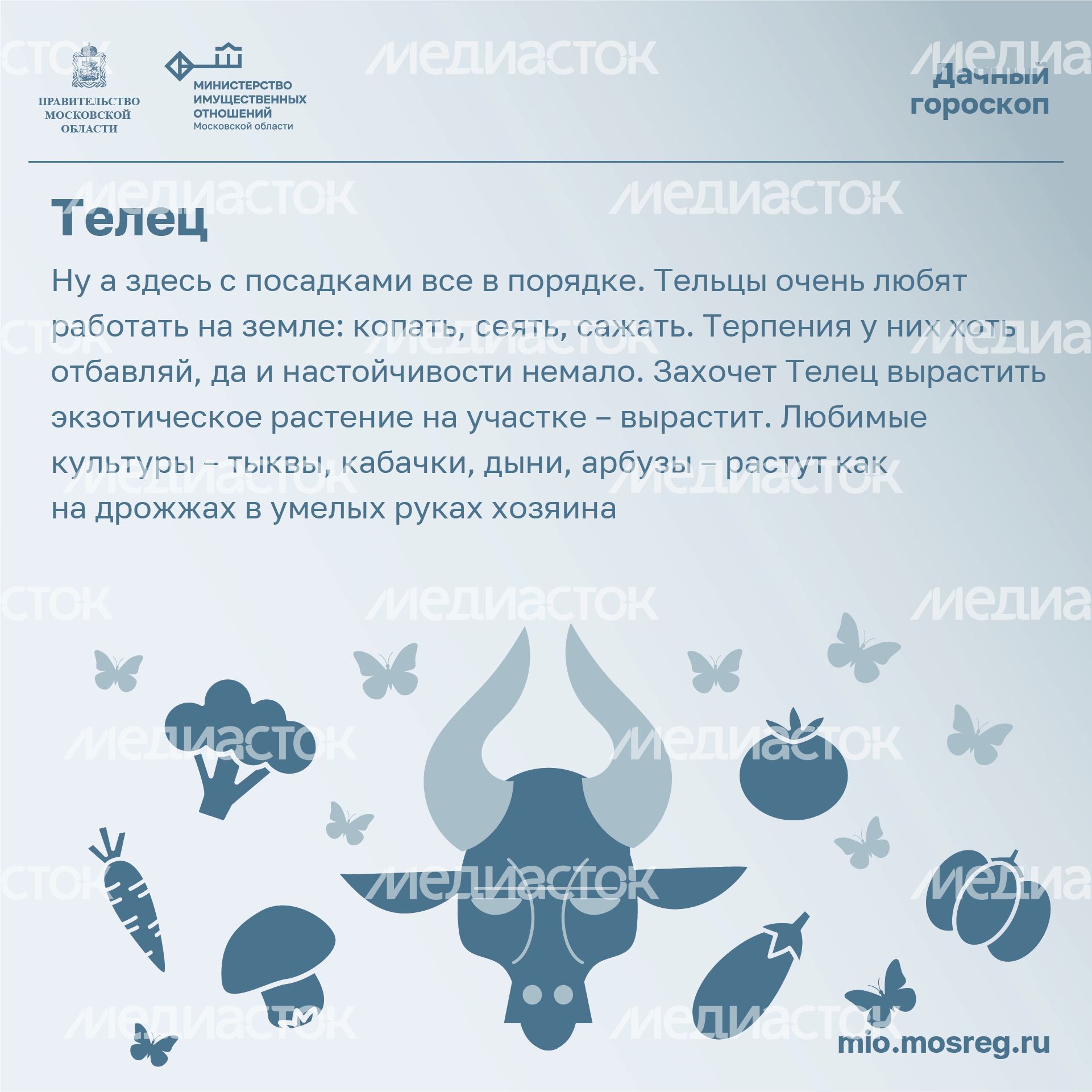 Квадрат_Дачный_гороскоп_02-100.jpg