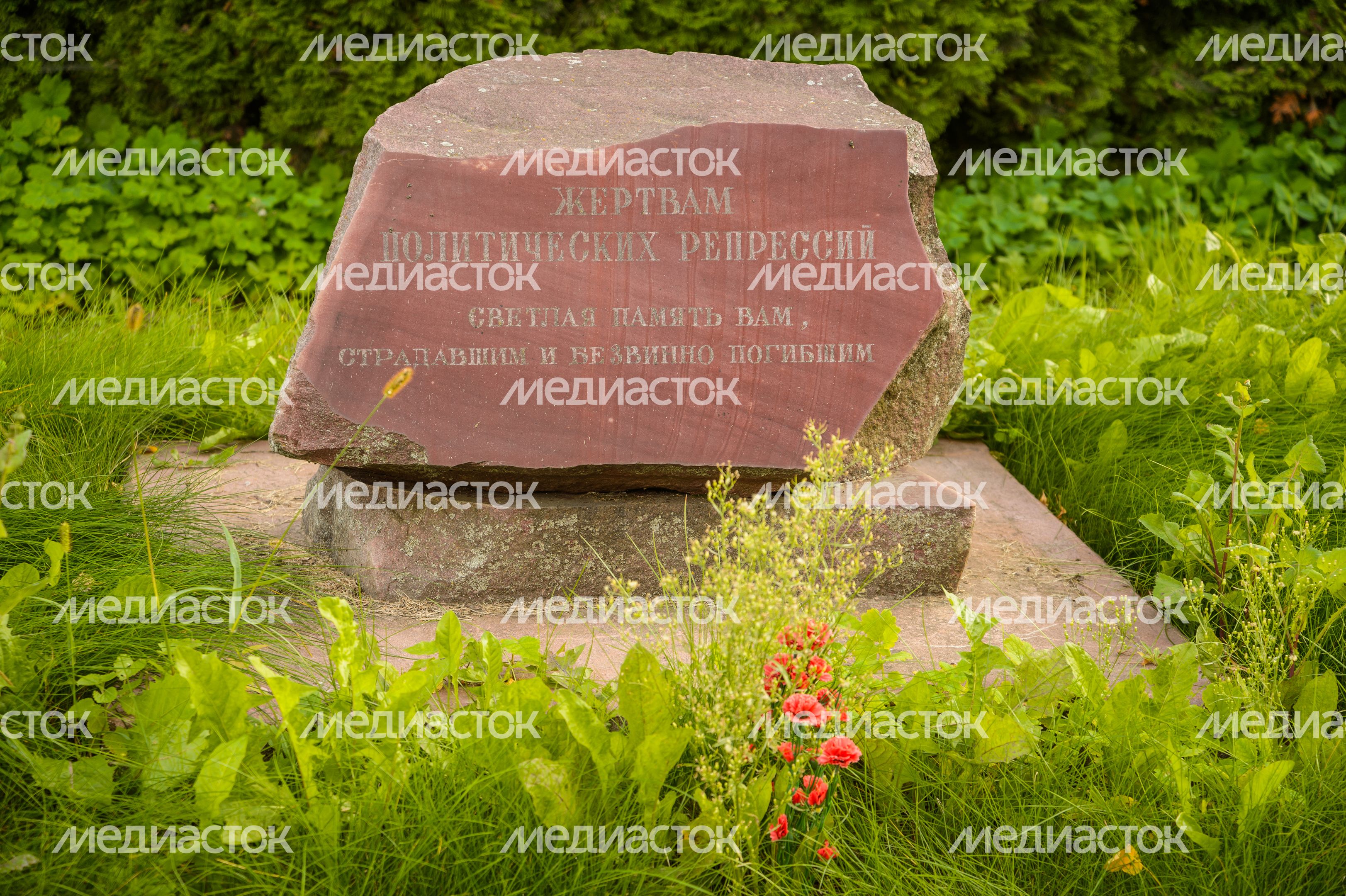 Бронницы. Памятник жертвам репрессий Бронницы. Памятник жертвам репрессий