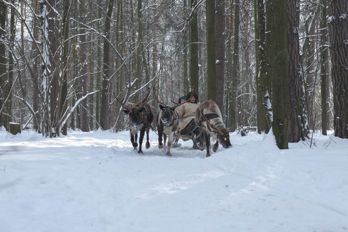 Оленья ферма в Дзержинском