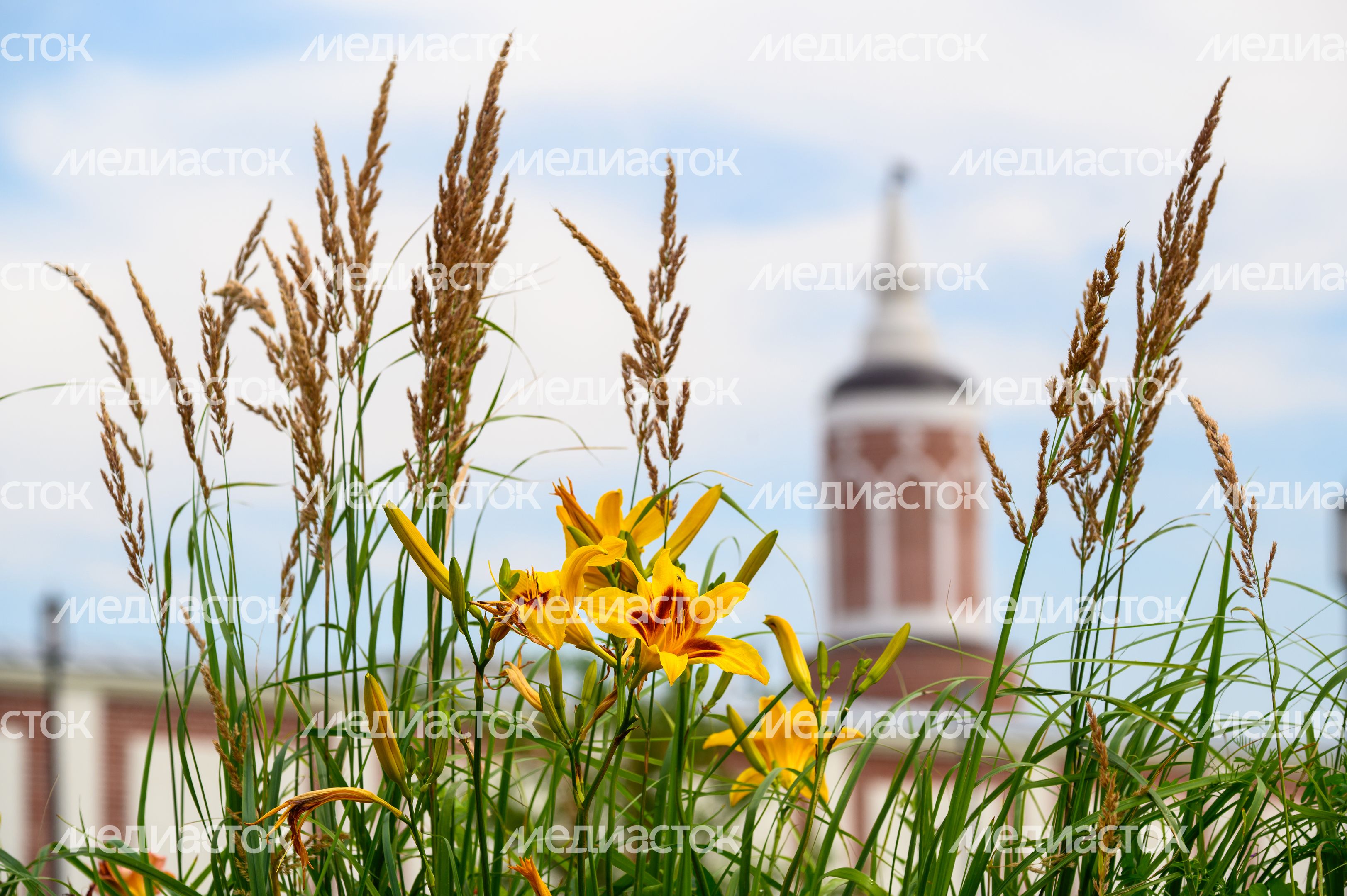 Богородице-Рождественский Бобренев мужской монастырь в селе Старое Бобренево округа Коломна Богородице-Рождественский Бобренев мужской монастырь в селе Старое Бобренево округа Коломна