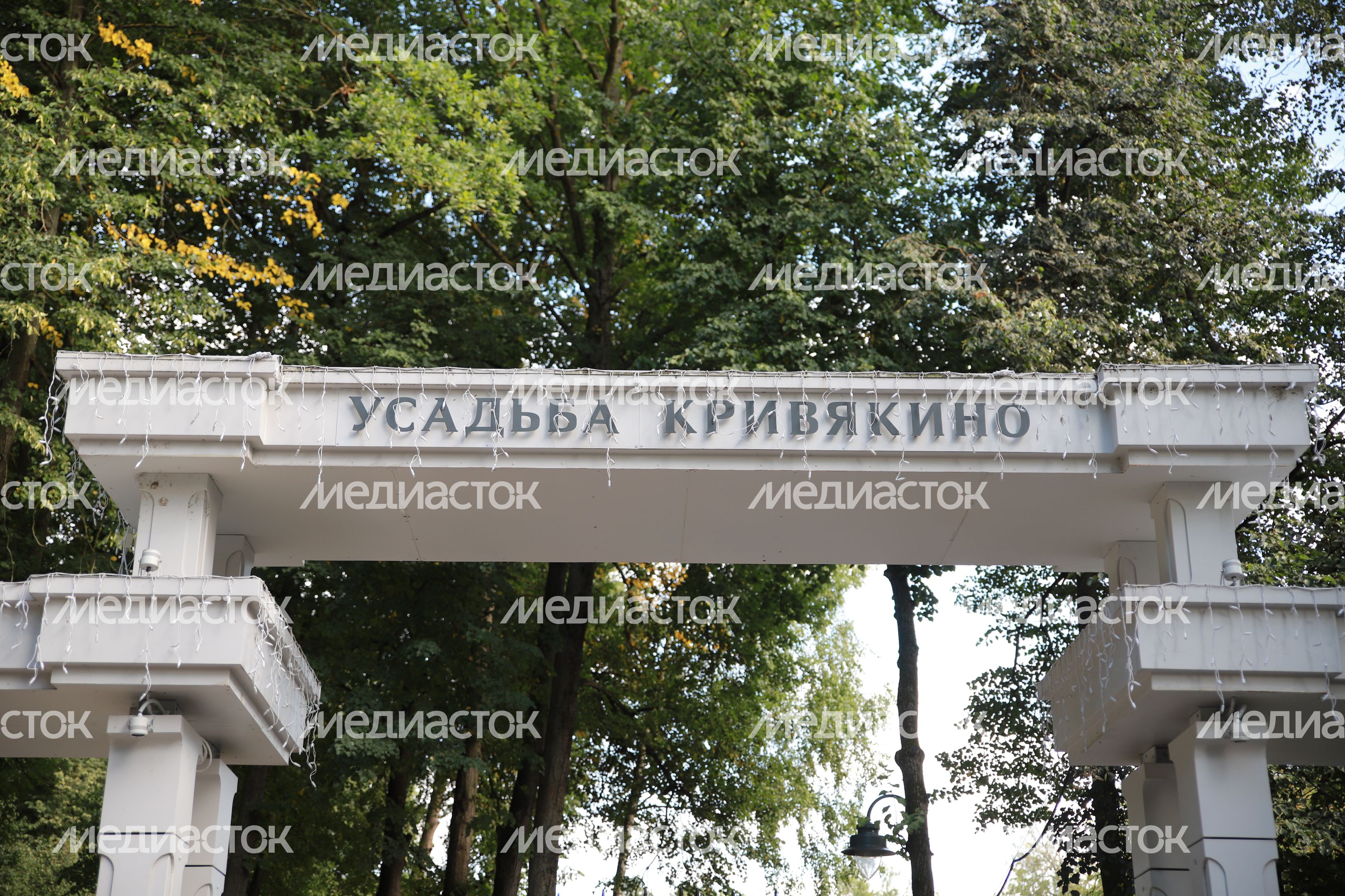 Кривякино