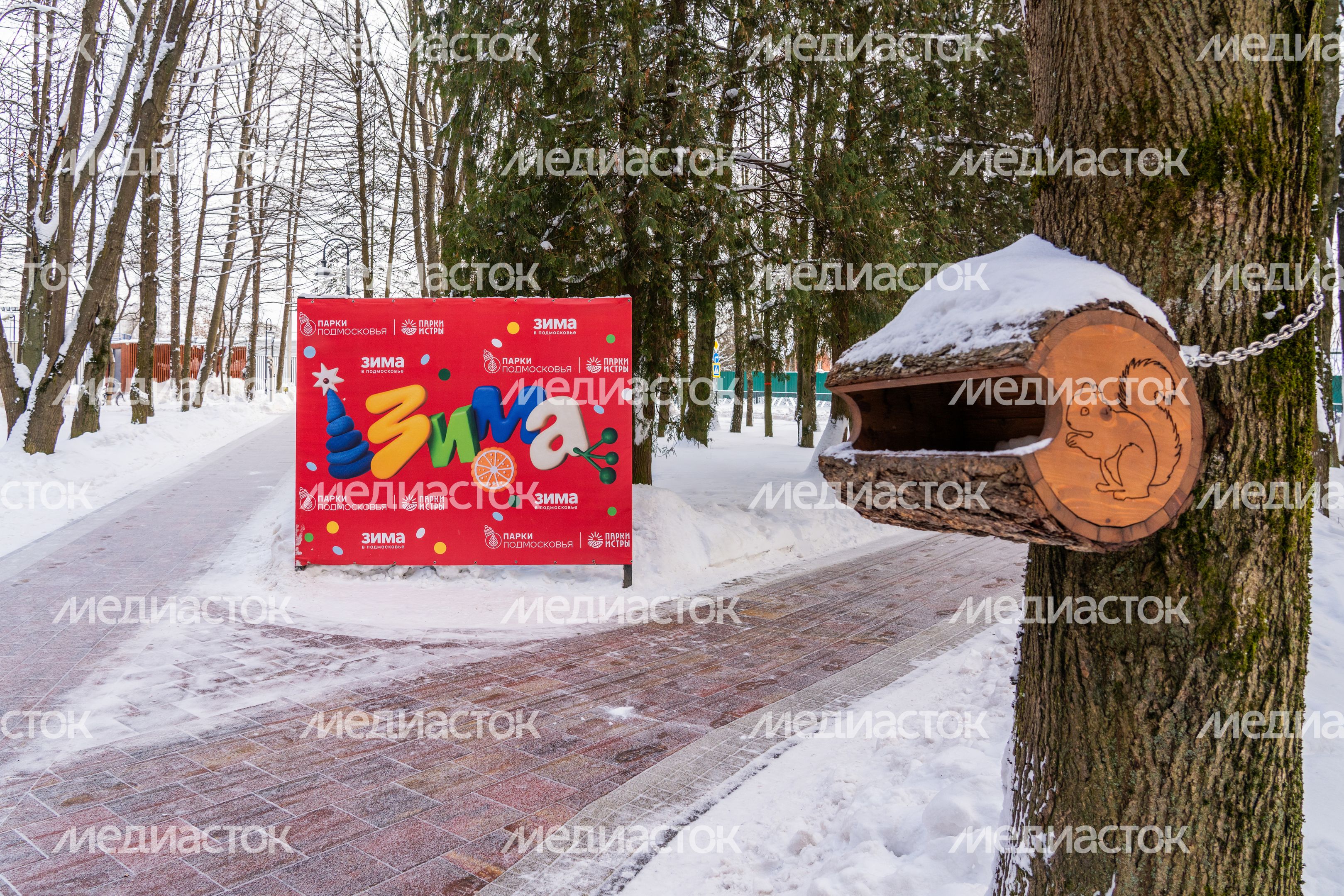 Зима в городском парке «Гучково» в Дедовске округа Истра Зима в городском парке «Гучково» в Дедовске округа Истра