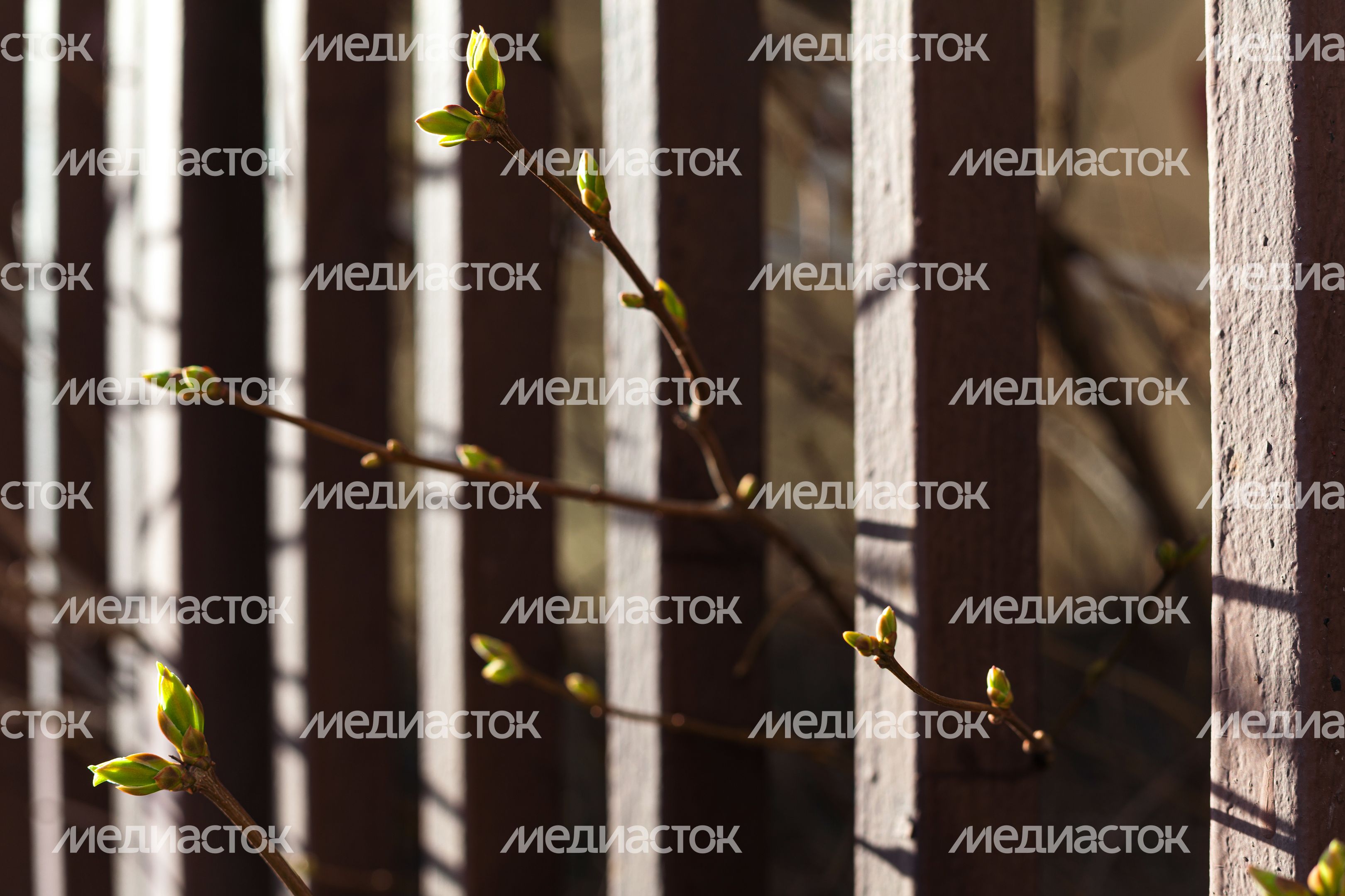 Весна пришла в Подмосковье