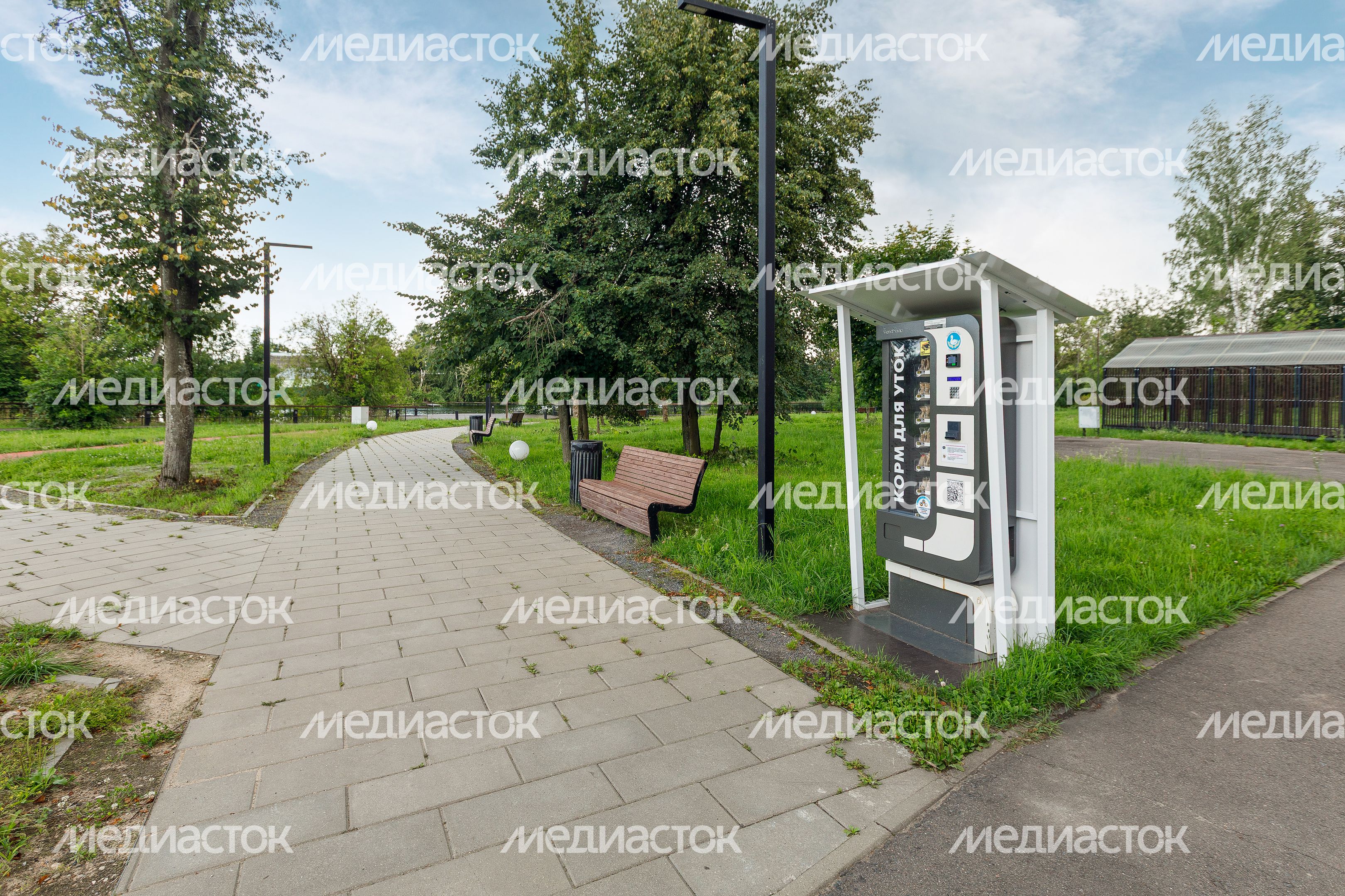 Автомат по продаже корма для уток в Лосино-Петровском парке Автомат по продаже корма для уток в Лосино-Петровском парке