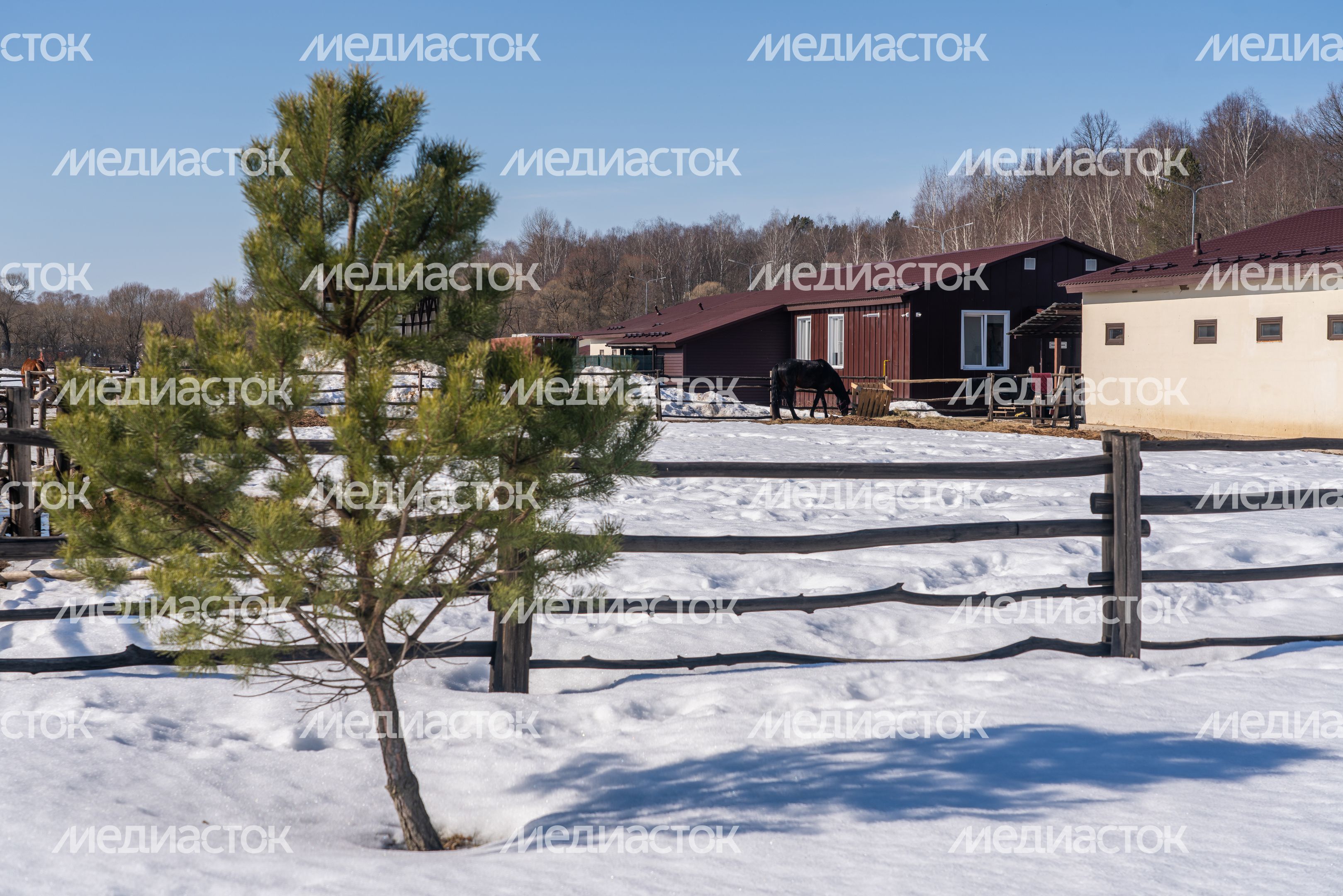 Семейный клуб "Бунин ручей" в деревне Клейменово, г.о. Серпухов Семейный клуб "Бунин ручей" в деревне Клейменово, г.о. Серпухов