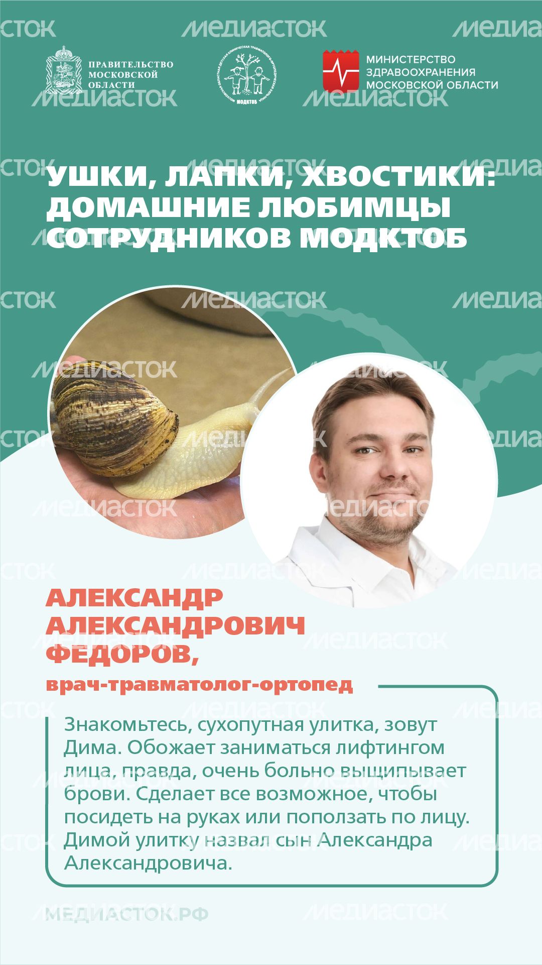 Ушки, лапки, хвостики вертикаль 04 Ушки, лапки, хвостики вертикаль 04