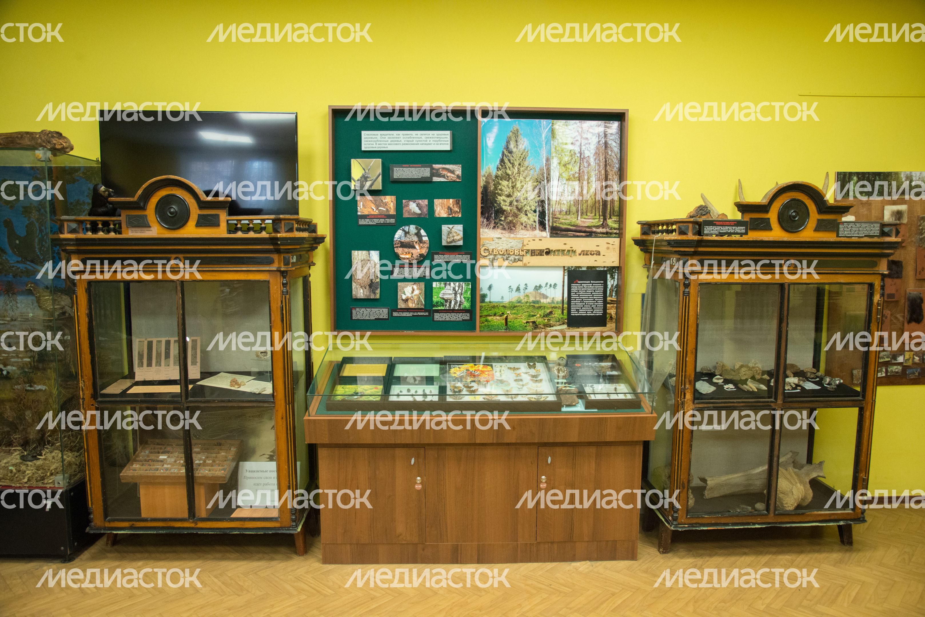 Историко-краеведческий музей