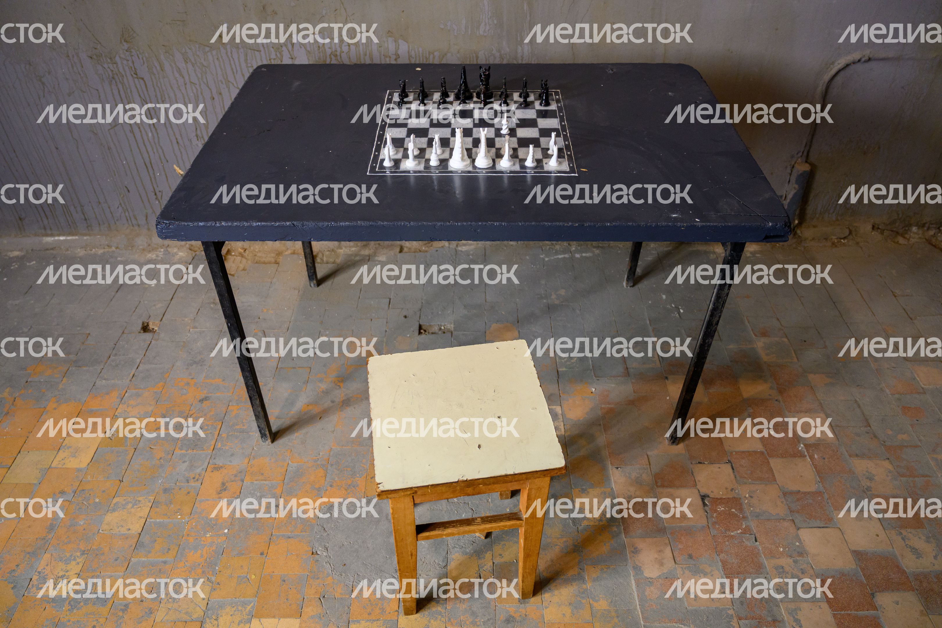 Фестиваль современного искусства "Заповедное" в Горках Ленинских Фестиваль современного искусства "Заповедное" в Горках Ленинских