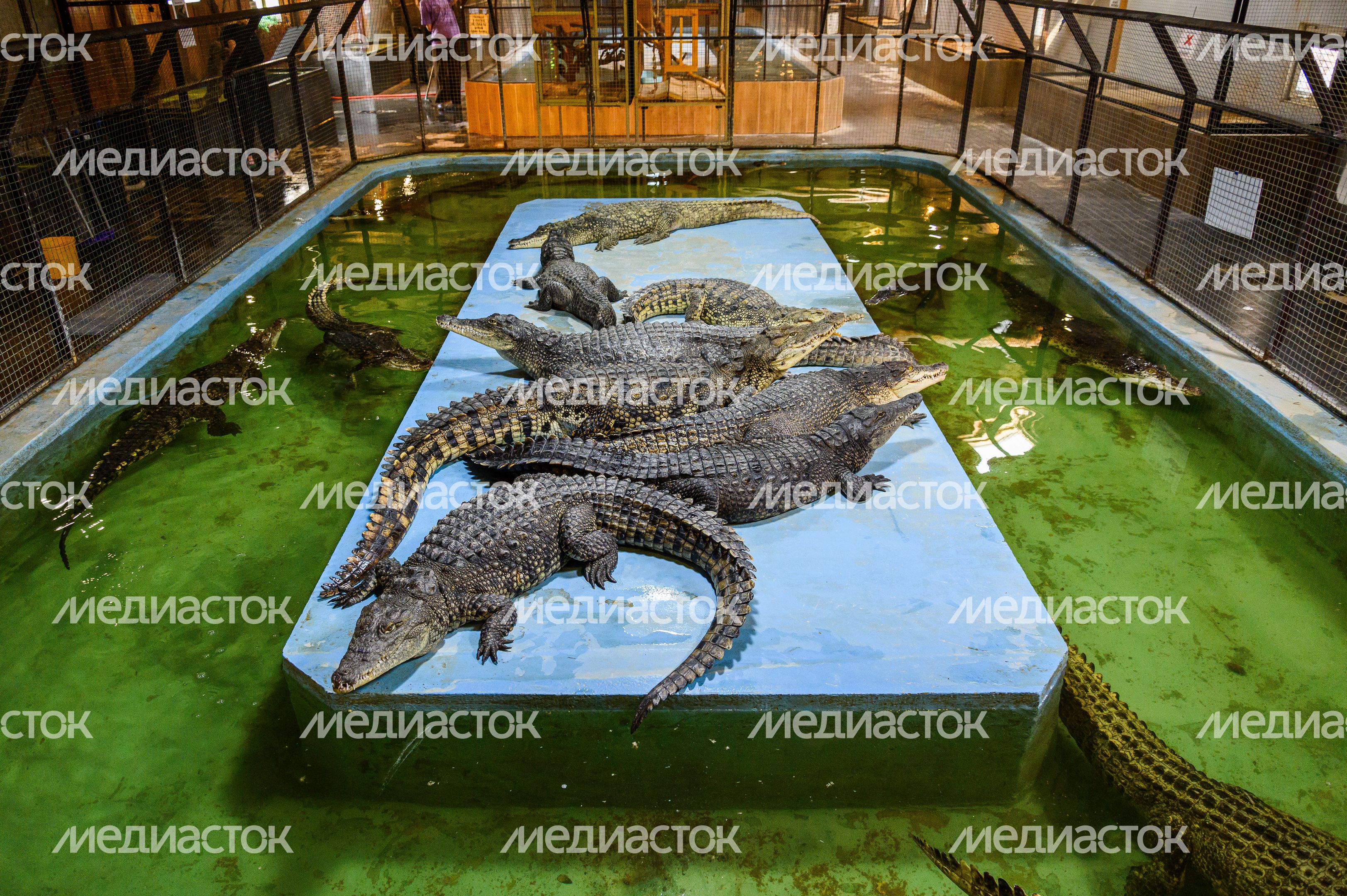 Ферма "ЭкоДеревушка" в Коломне