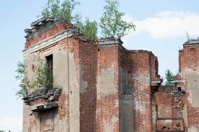 Усадьба Мещерских Алабино (Петровское)