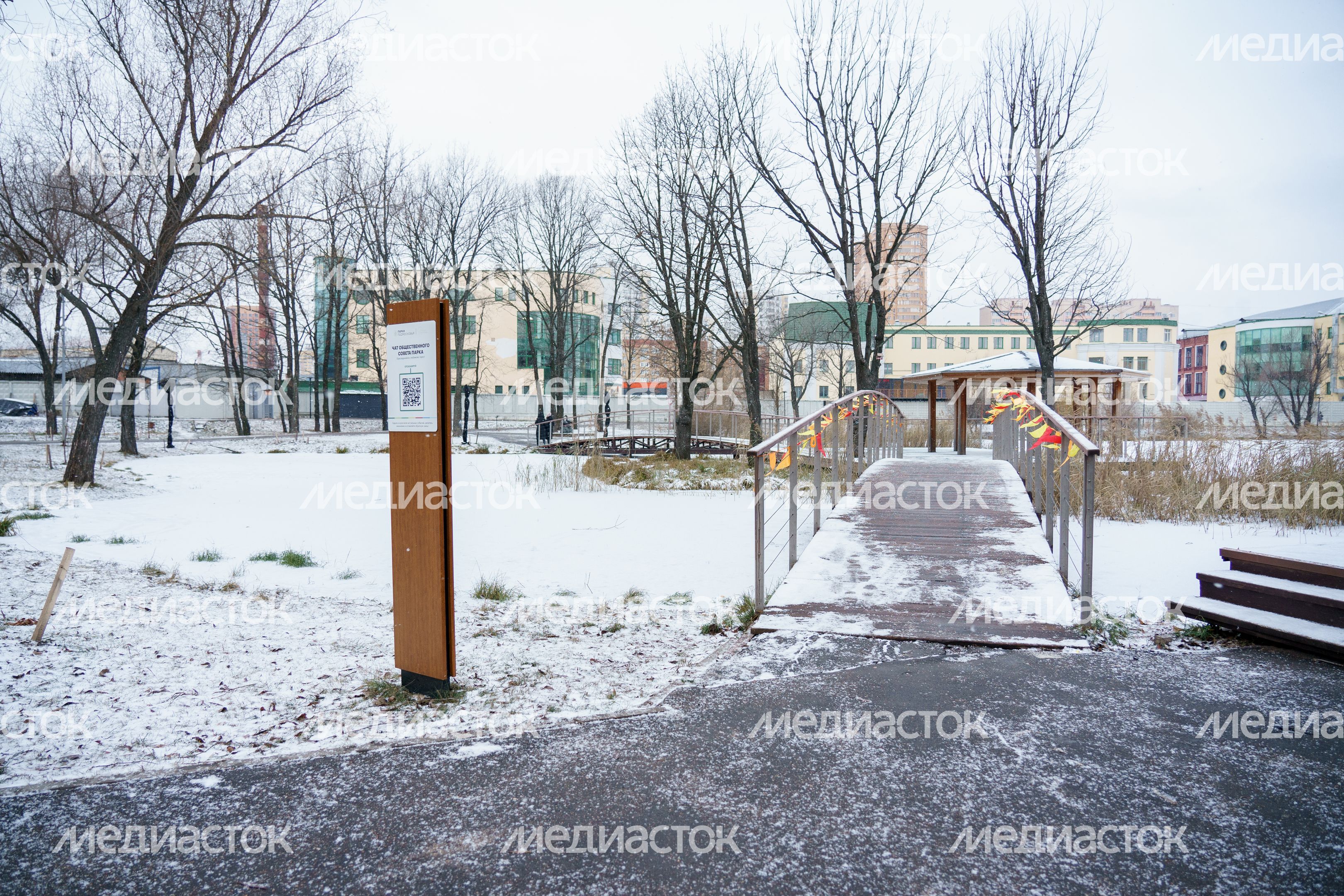 Реутов. Парк «Фабричный пруд». Зима Реутов. Парк «Фабричный пруд». Зима