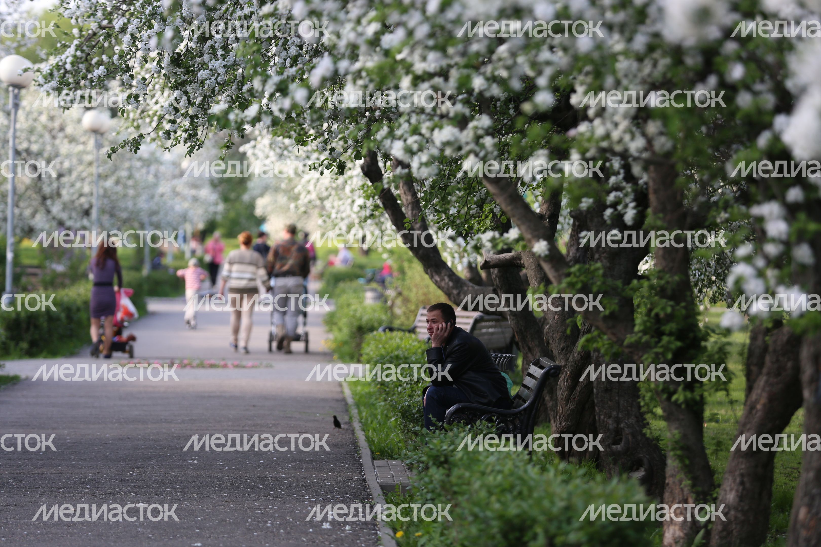 Парк ВИСХОМ в Москве