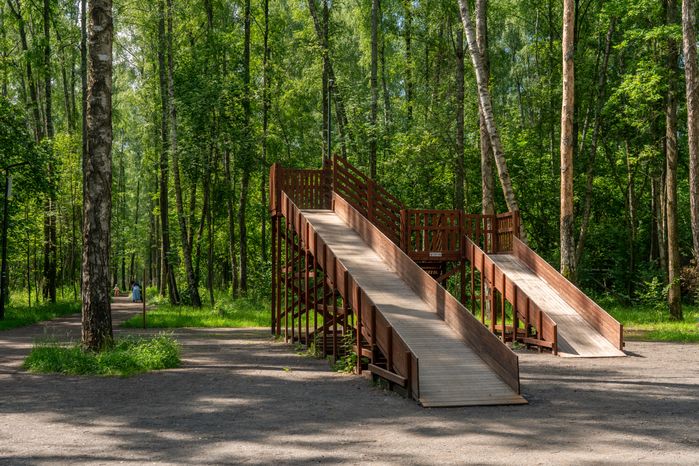Губернский лесопарк в Чехове летом