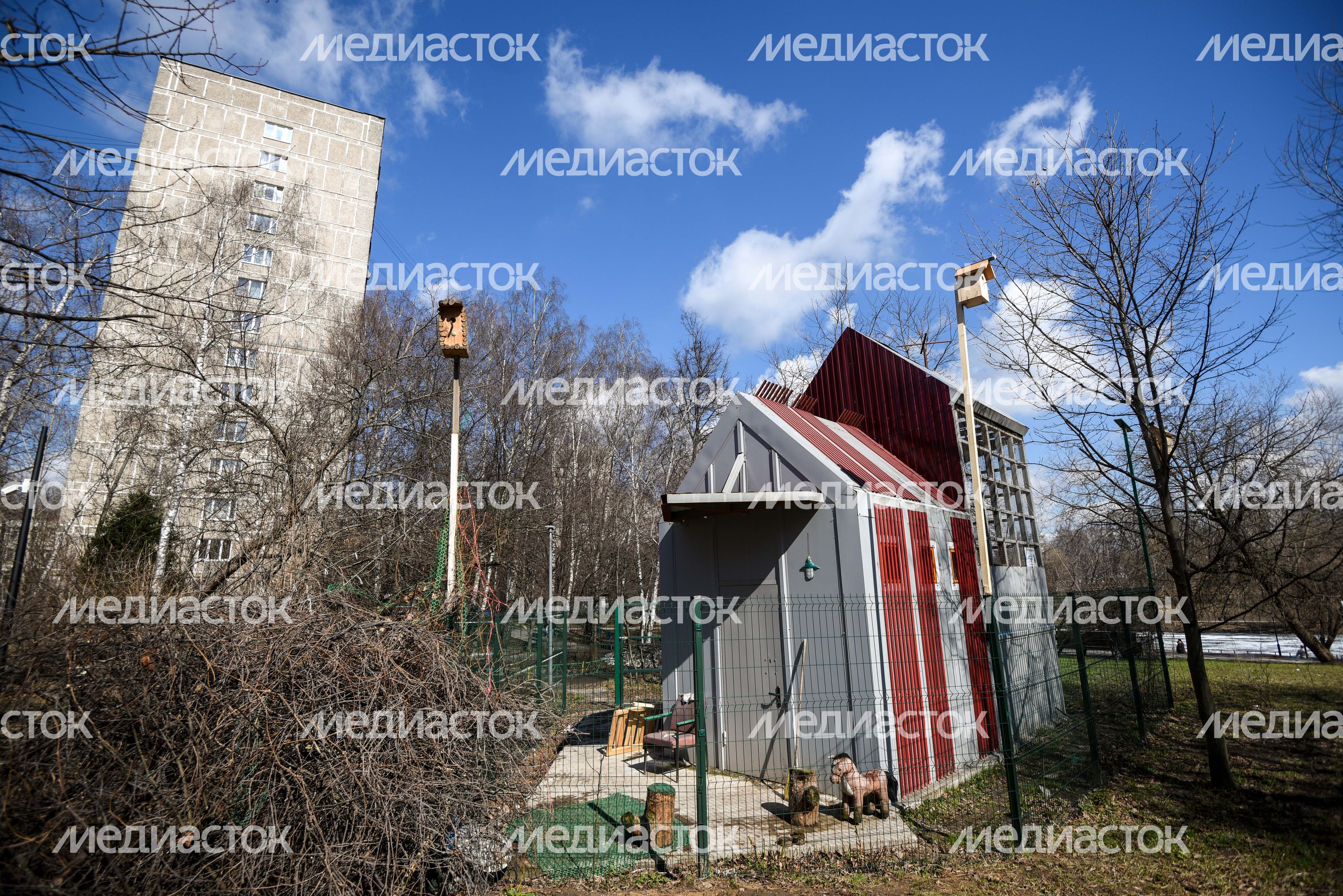 Голубятня в Москве