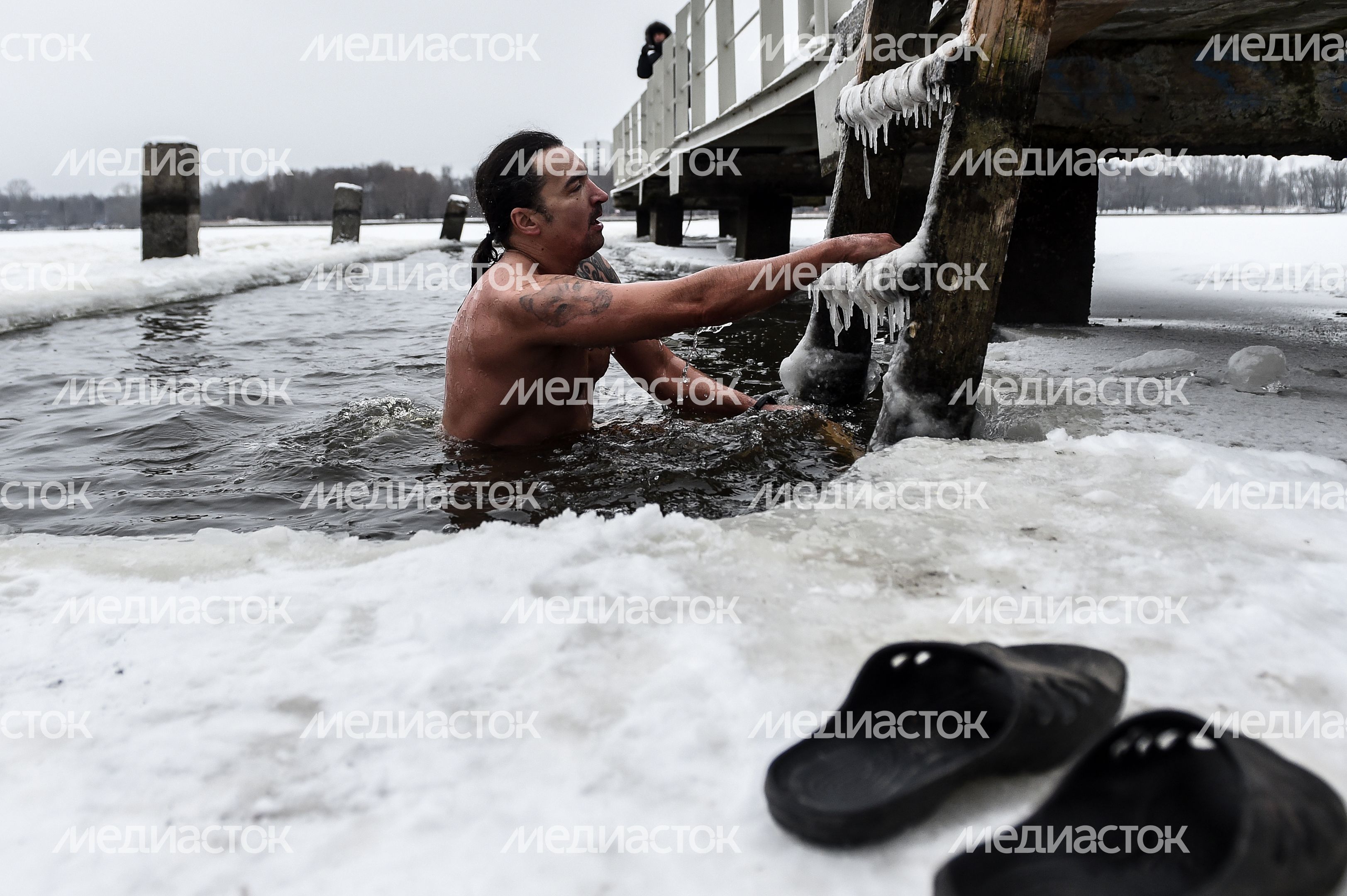 Купание моржей в Долгопрудном