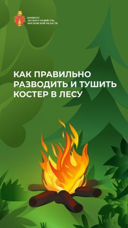комлесхоз_костер_верт_1.jpg