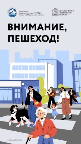 Внимание пешеход Вертикаль 01