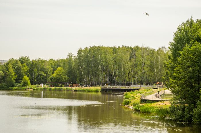 Мост Влюбленных в Балашихе