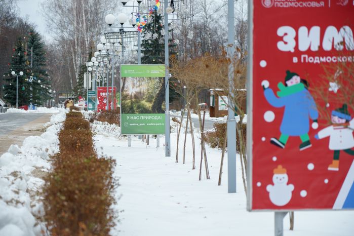 Кашира. Городской парк. Зима
