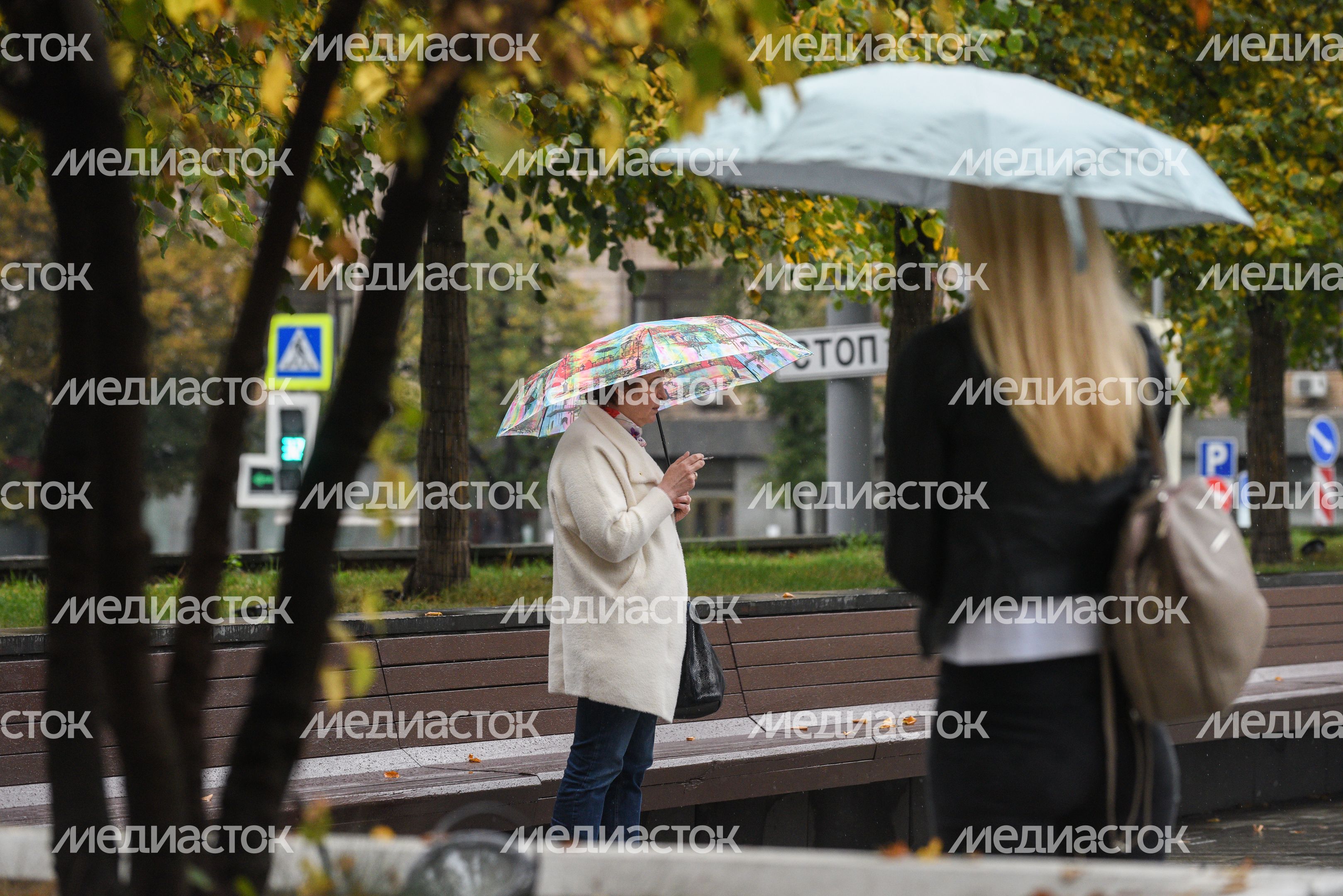 Дождливая погода в Москве