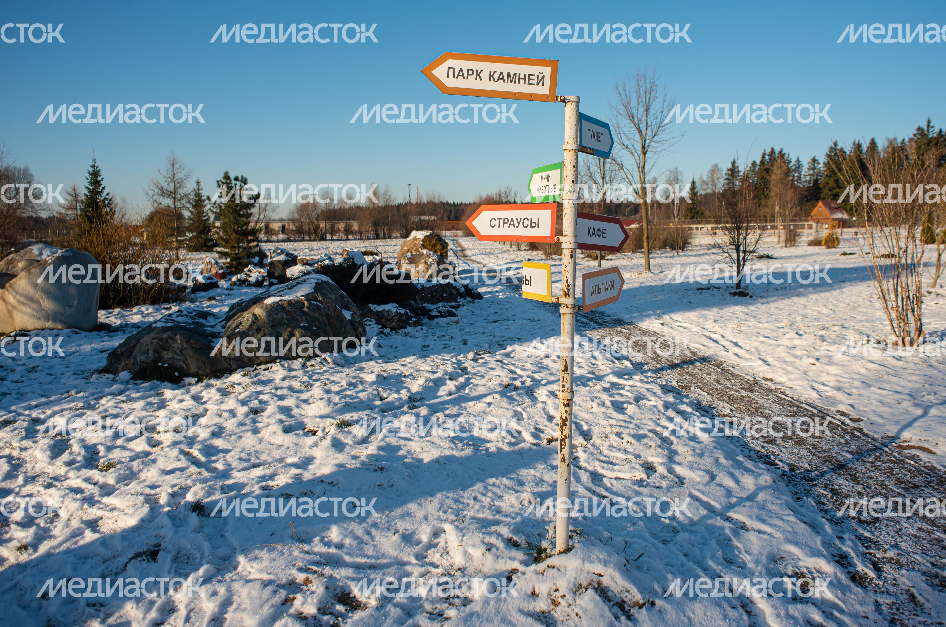 Зимний Парк Птиц «Воробьи»