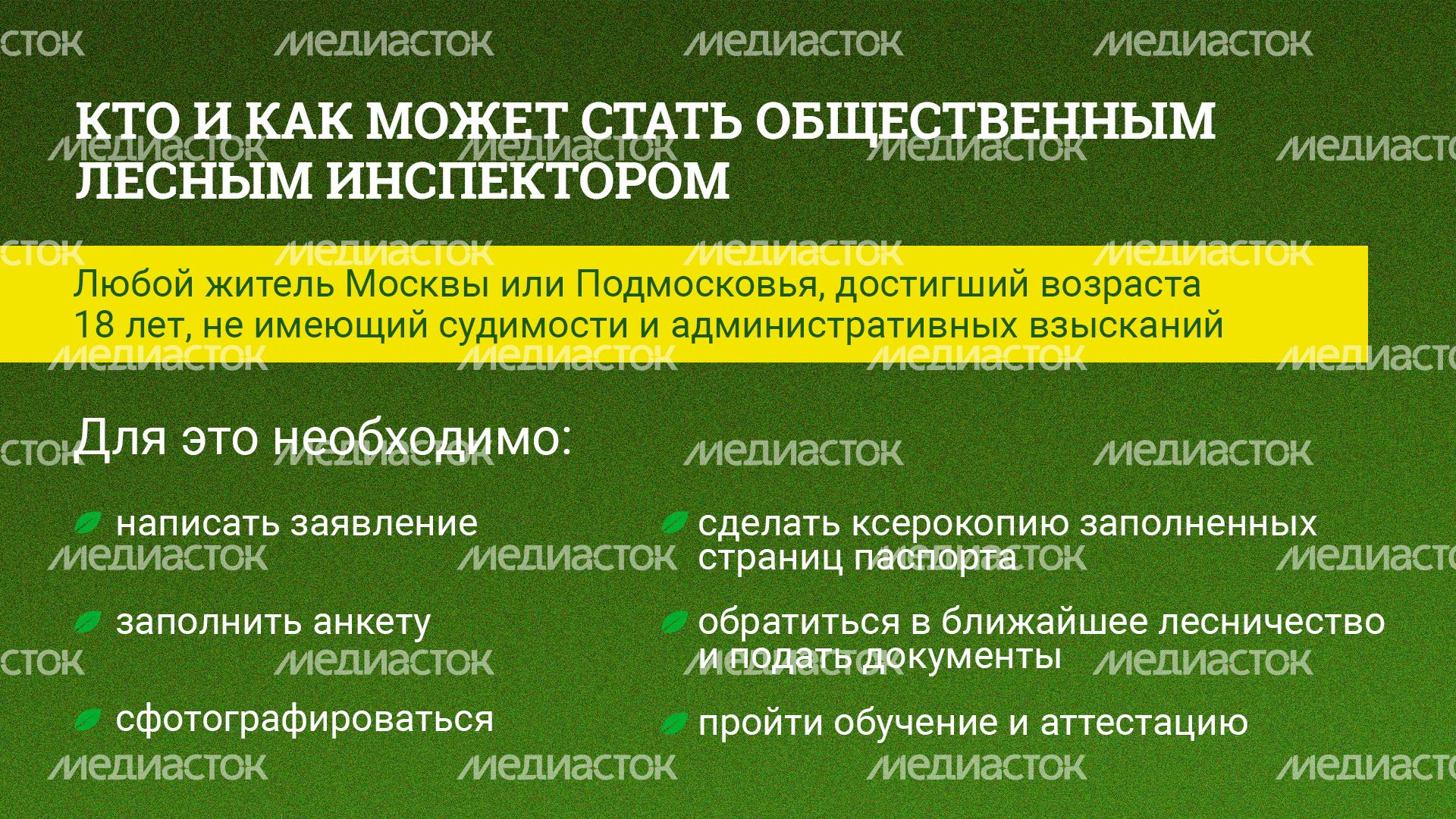 Как стать общественным лесным инспектором