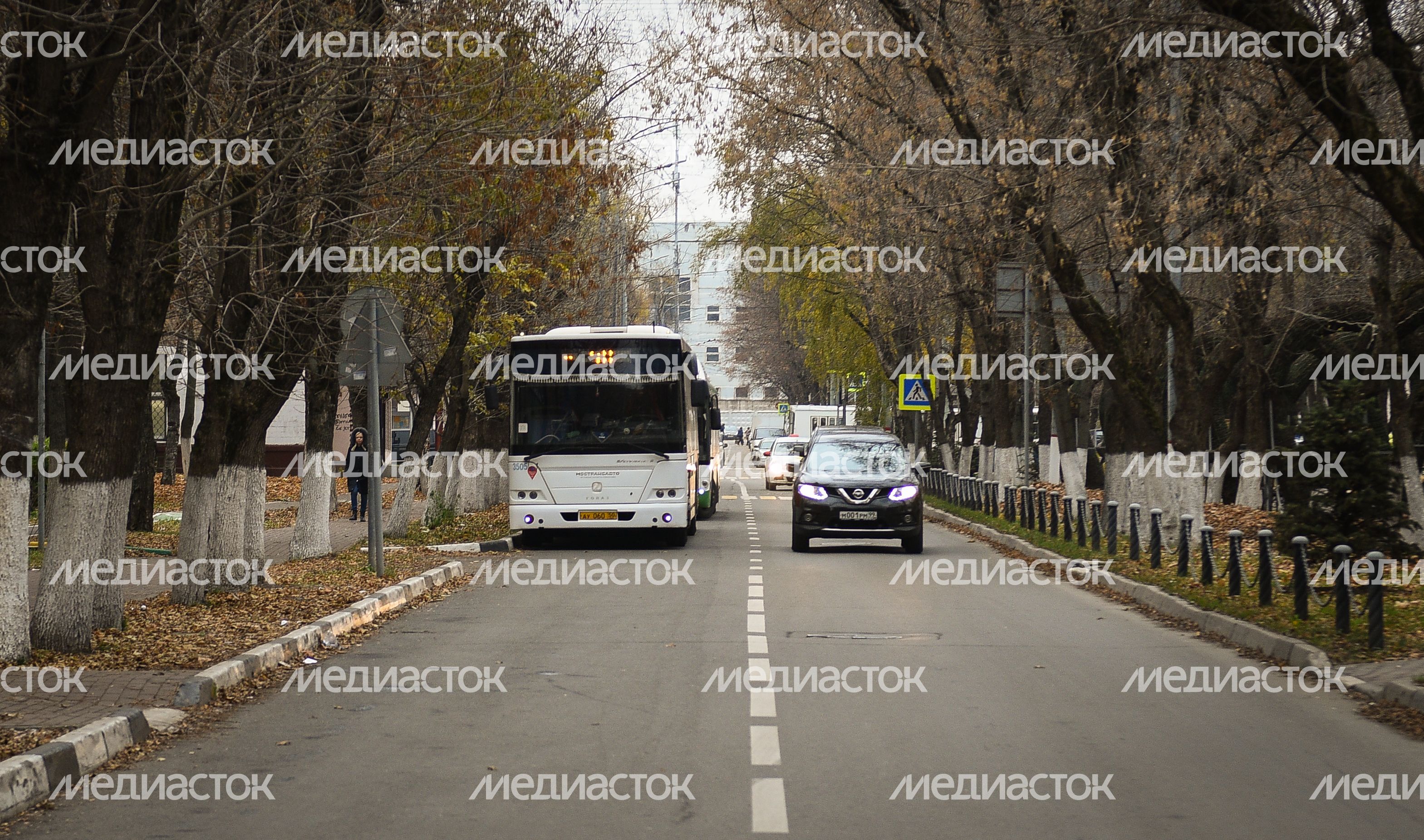 Общественный транспорт в Подмосковье