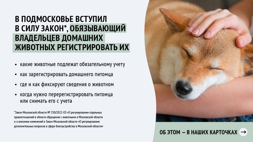 Зарегистрировать домашнее животное ред 2-горизонталь-02.png