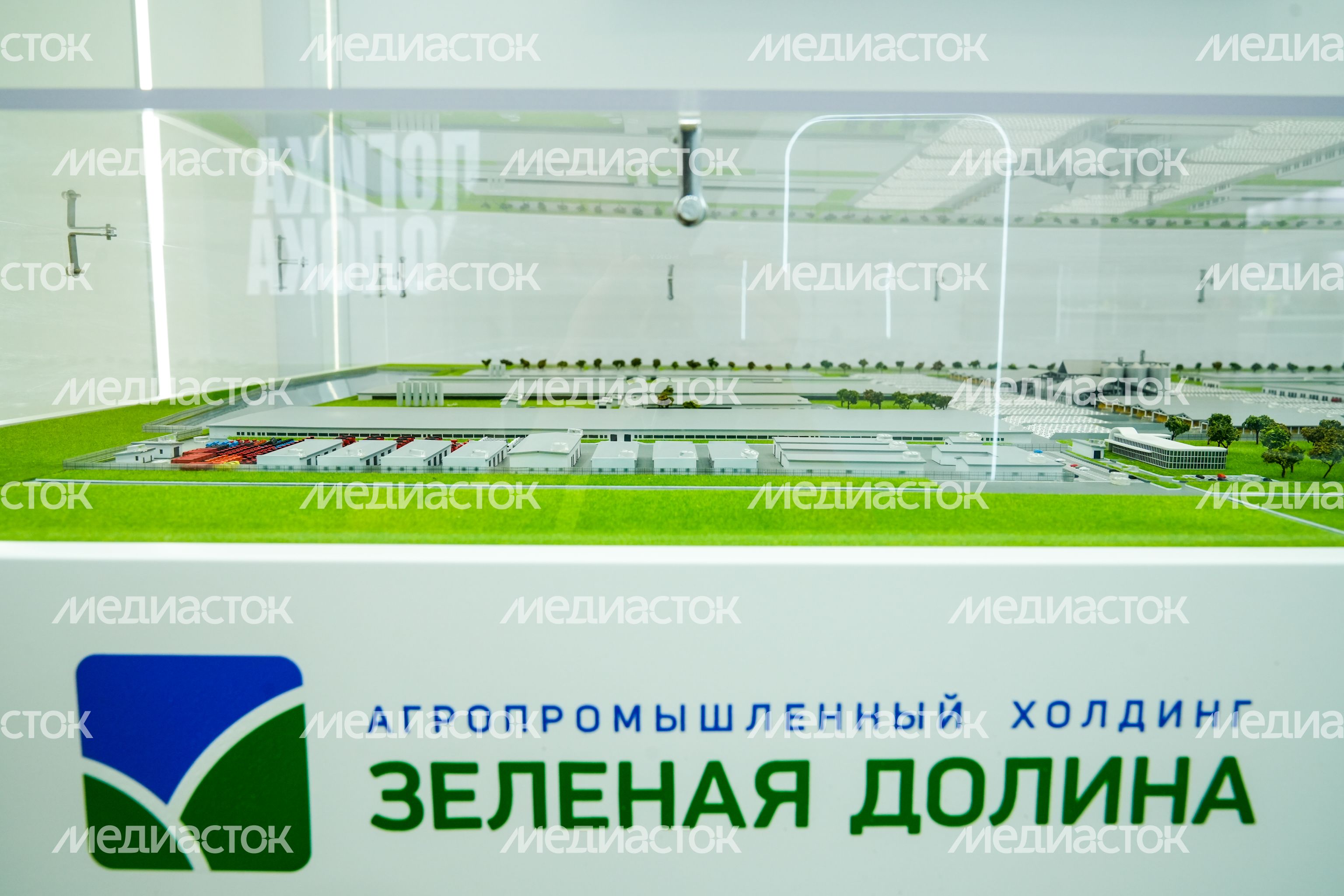 Стенд Подмосковья на выставке "Золотая осень - 2025" Стенд Подмосковья на выставке "Золотая осень - 2025"