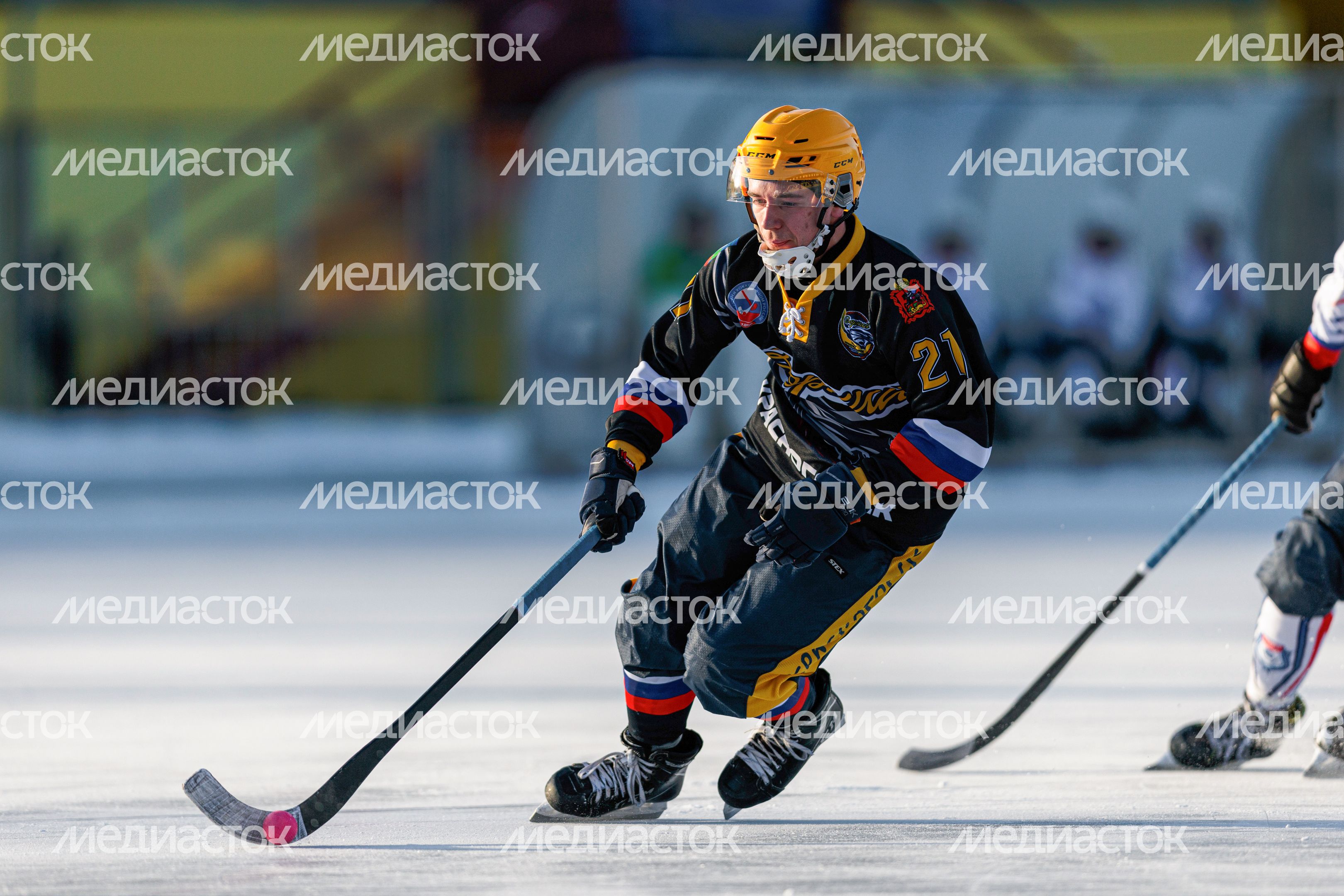 Чемпионат России по хоккею с мячом в Красногорске Чемпионат России по хоккею с мячом в Красногорске