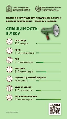 Как подготовиться к походу в лес вертикаль 07