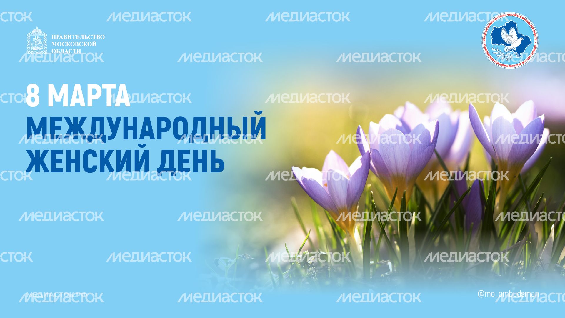 8 марта горизонталь 01 8 марта горизонталь 01