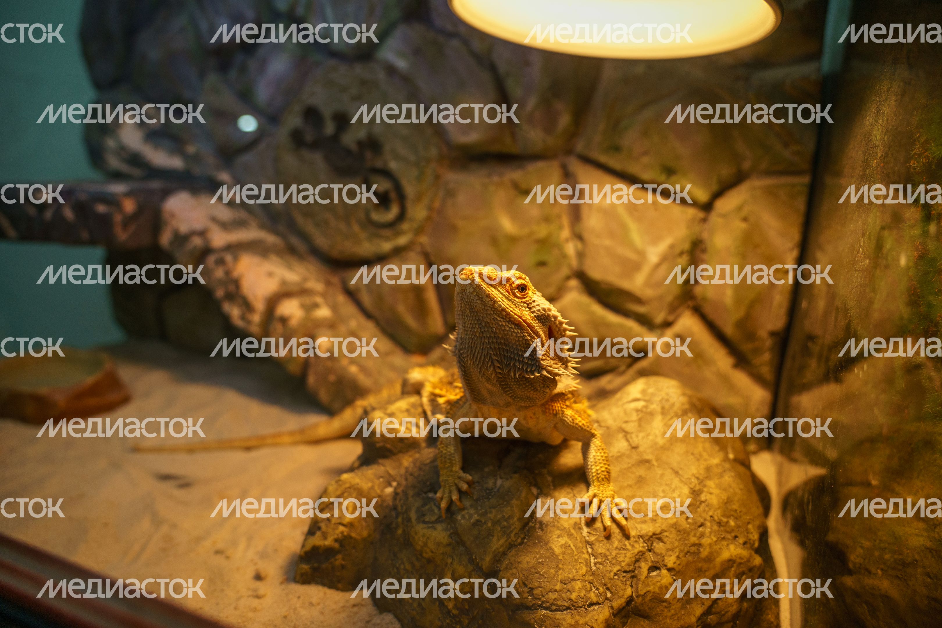 Люберцы. МУК «Музейно-выставочный комплекс» Люберцы. МУК «Музейно-выставочный комплекс»