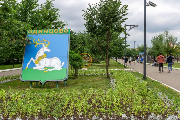 Бегемоты