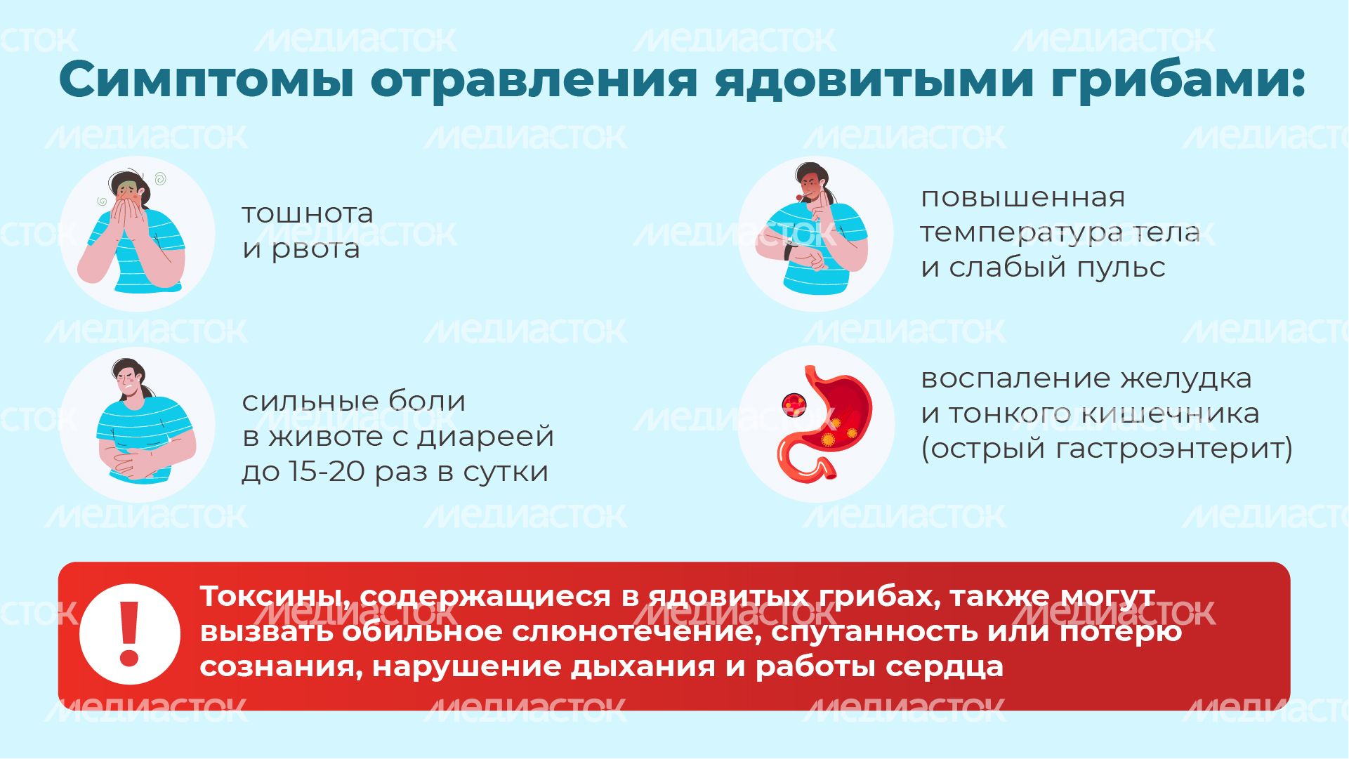 15 Горизонталь_грибы_06-100