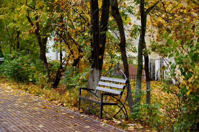 Осень в Подмосковье