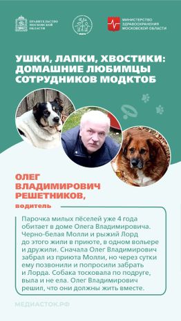 Ушки, лапки, хвостики вертикаль 07