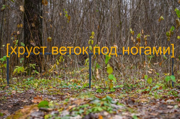 Арт-объект «Субтитры» группы «МишМаш» в парке Малевича