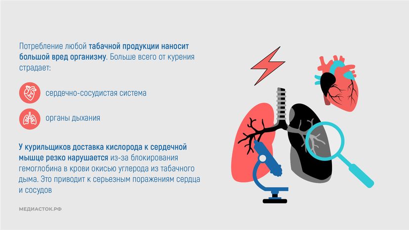 ЗОЖ горизонталь 05