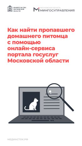 Домашние животные вертикаль 01