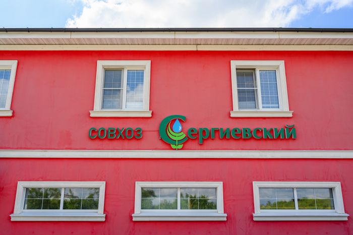 Выращивание овощей на полях ООО «Сергиевское» в Коломне