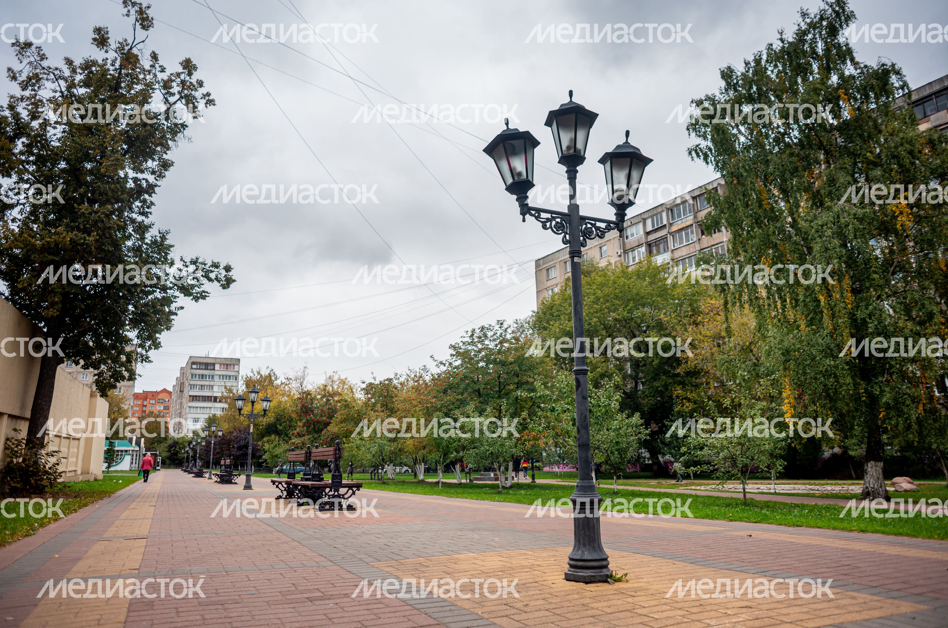 Школьный бульвар в Раменском