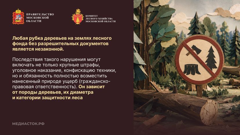 Незаконная рубка горизонталь 09