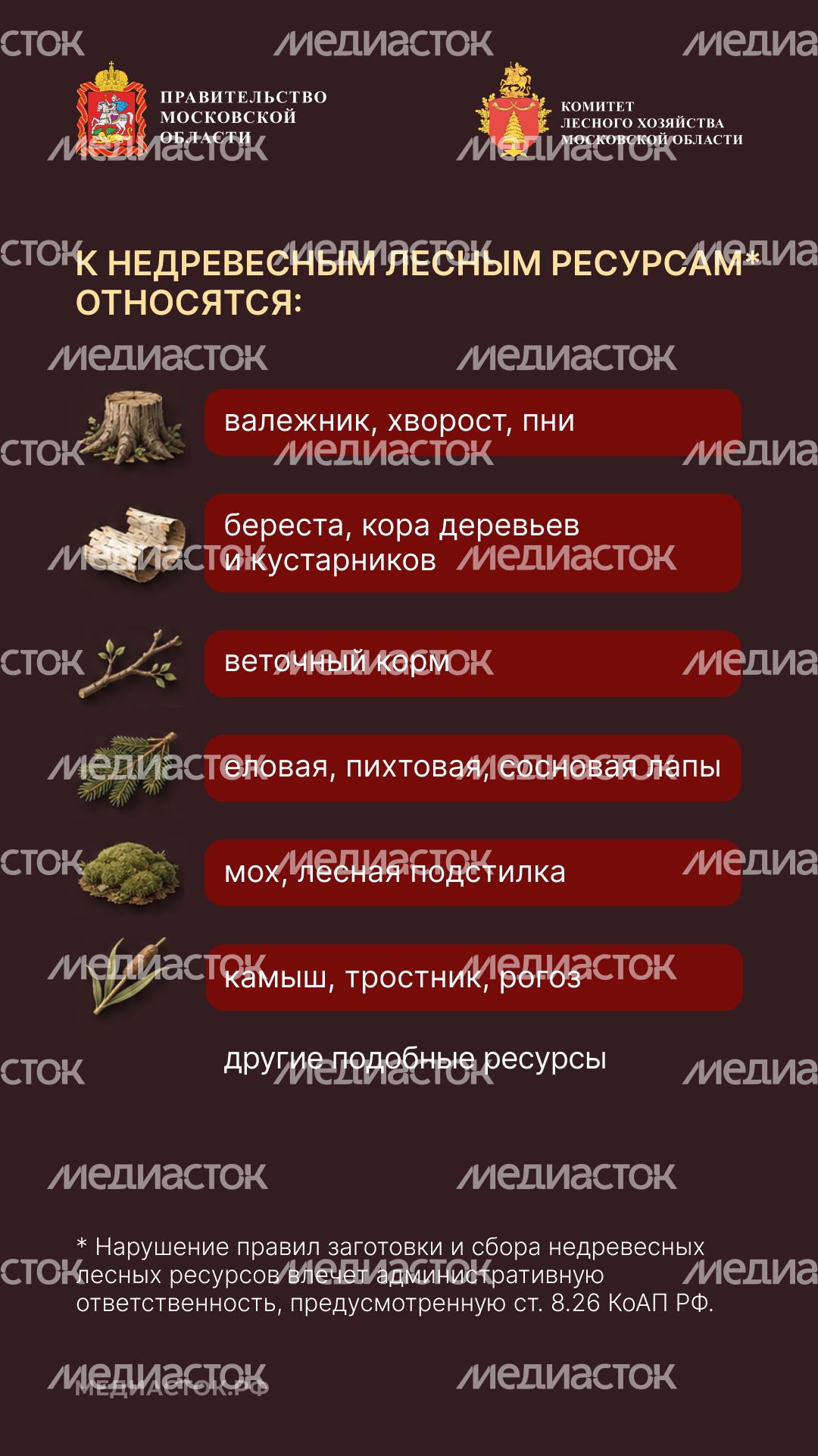 Недревесные ресурсы для собственных нужд Вертикаль 03