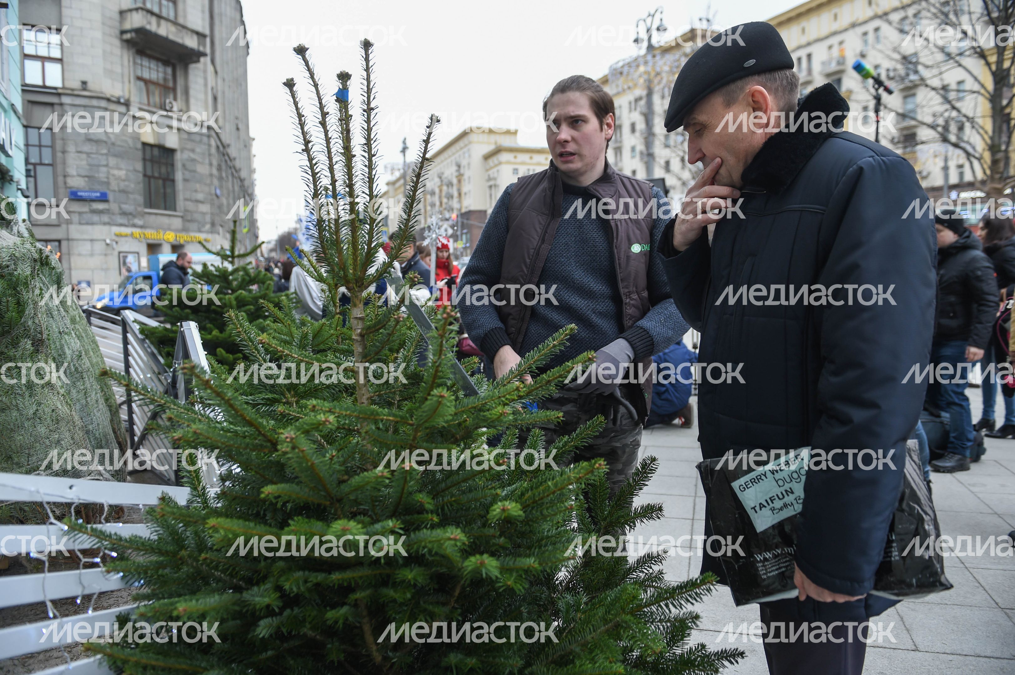 Открытие елочных базаров в Москве