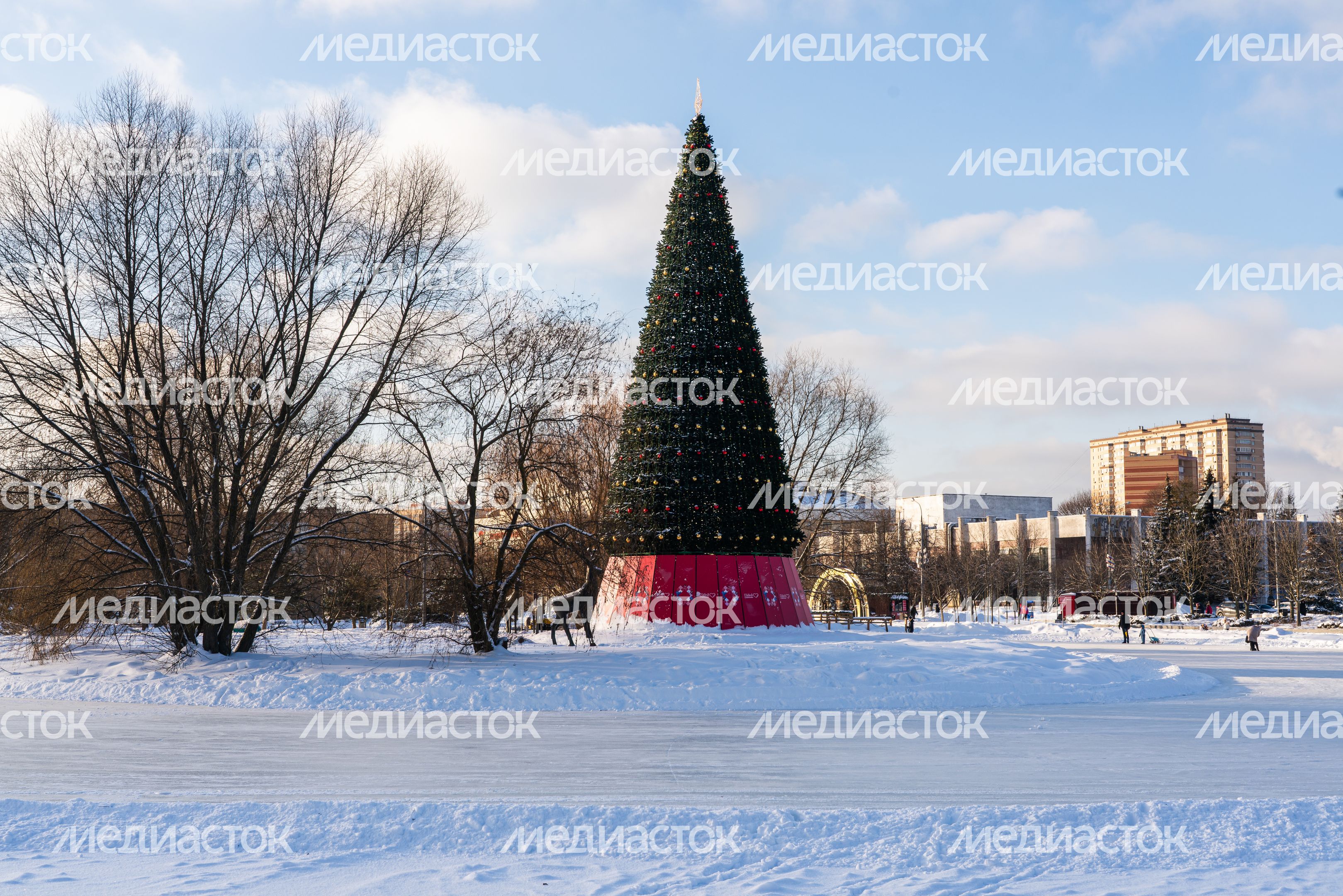 Новогодняя елка в Одинцово